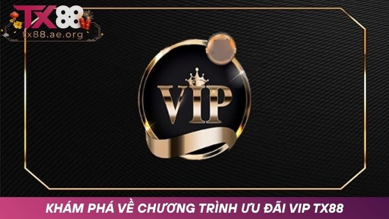 Tổng quan Ưu đãi VIP TX88 giá trị hấp dẫn