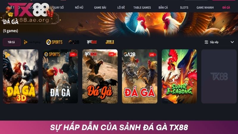 Lý do nên cược đá gà tại nhà cái TX88