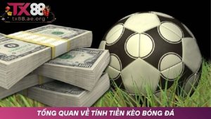 Tìm hiểu về cách tính tiền kèo bóng đá